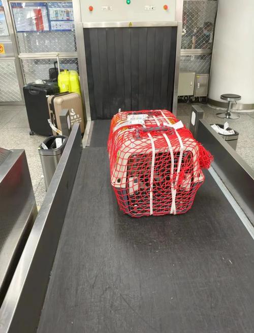 FOB货代的提单到底该给谁? FOB货代的提单到底该给谁?